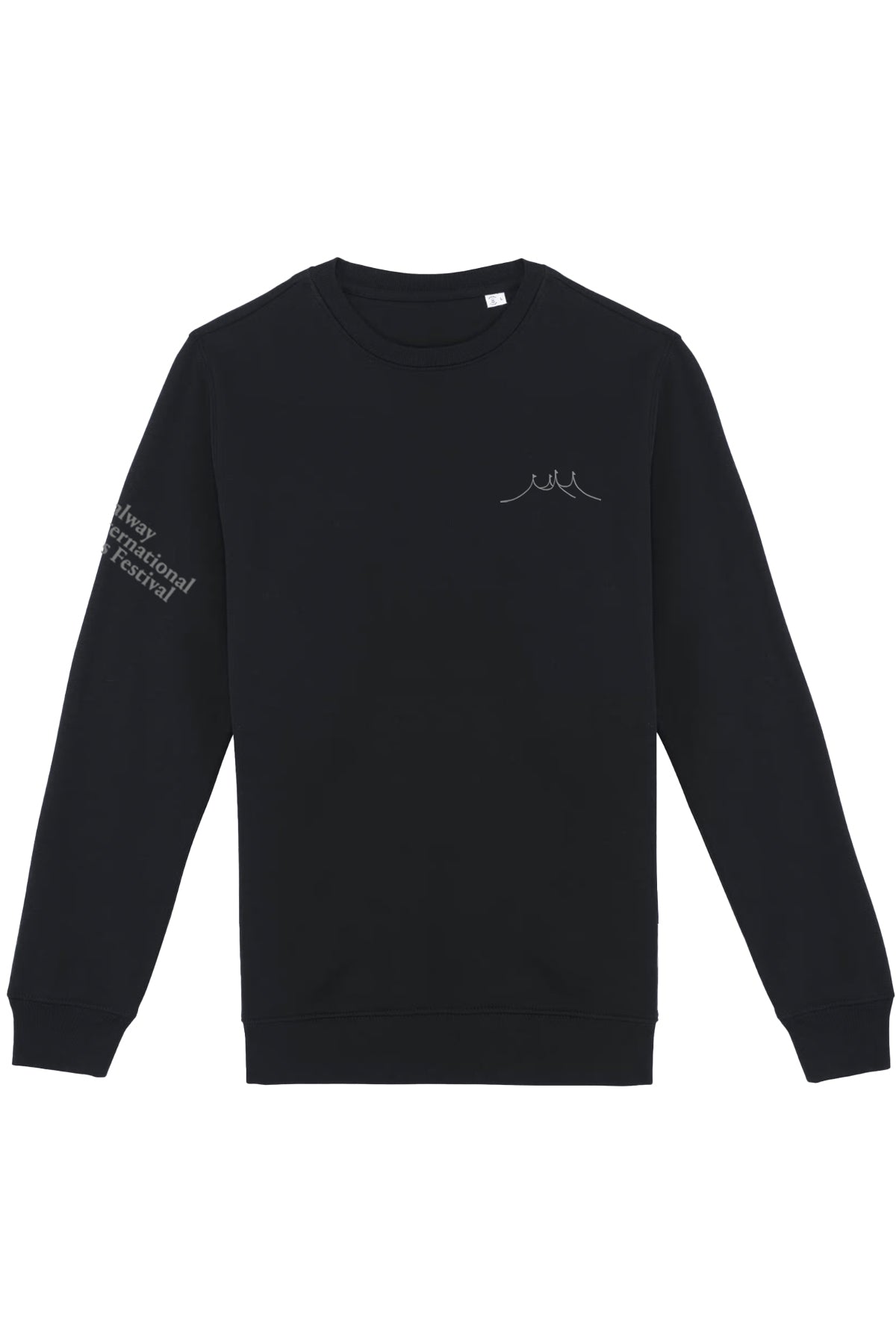 2025 Long Sleeve Black Organic Tee (Unisex)